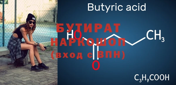 индика Бородино
