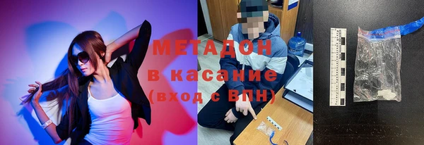 индика Бородино