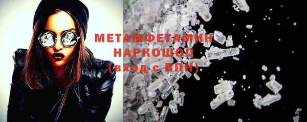 индика Бородино