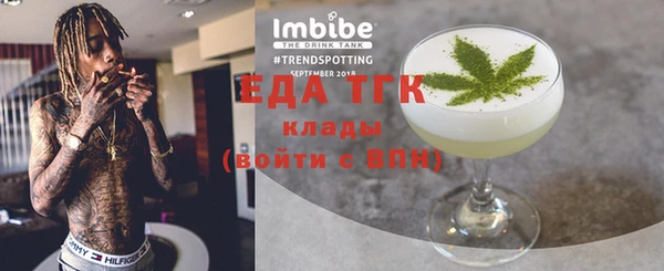 индика Бородино