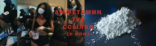 индика Бородино