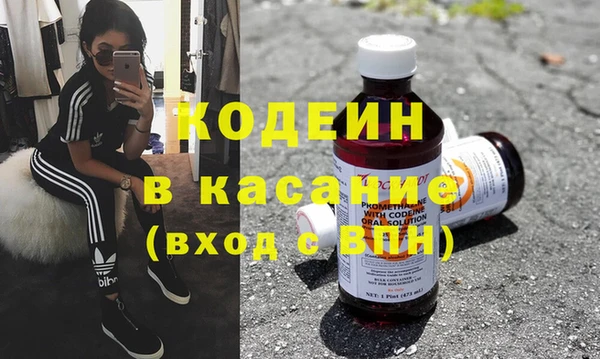 индика Бородино