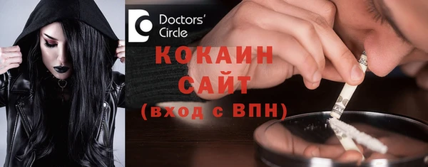 индика Бородино