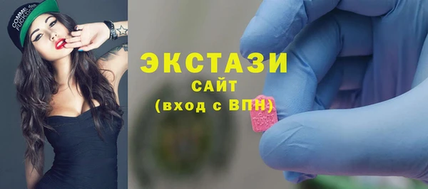 индика Бородино