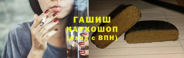 индика Бородино