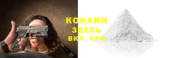 индика Бородино