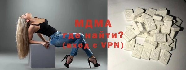 индика Бородино