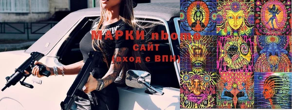 индика Бородино