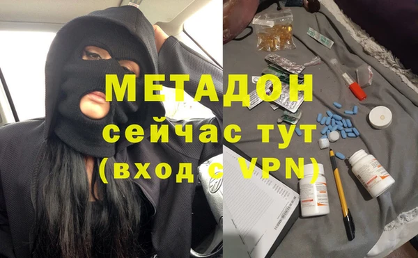 индика Бородино