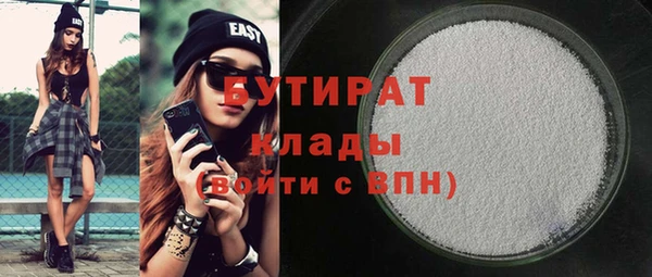 индика Бородино