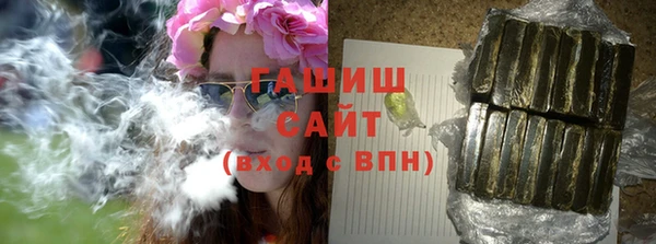индика Бородино